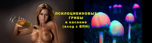 сатива Абинск