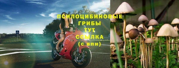 не бодяженный Абдулино